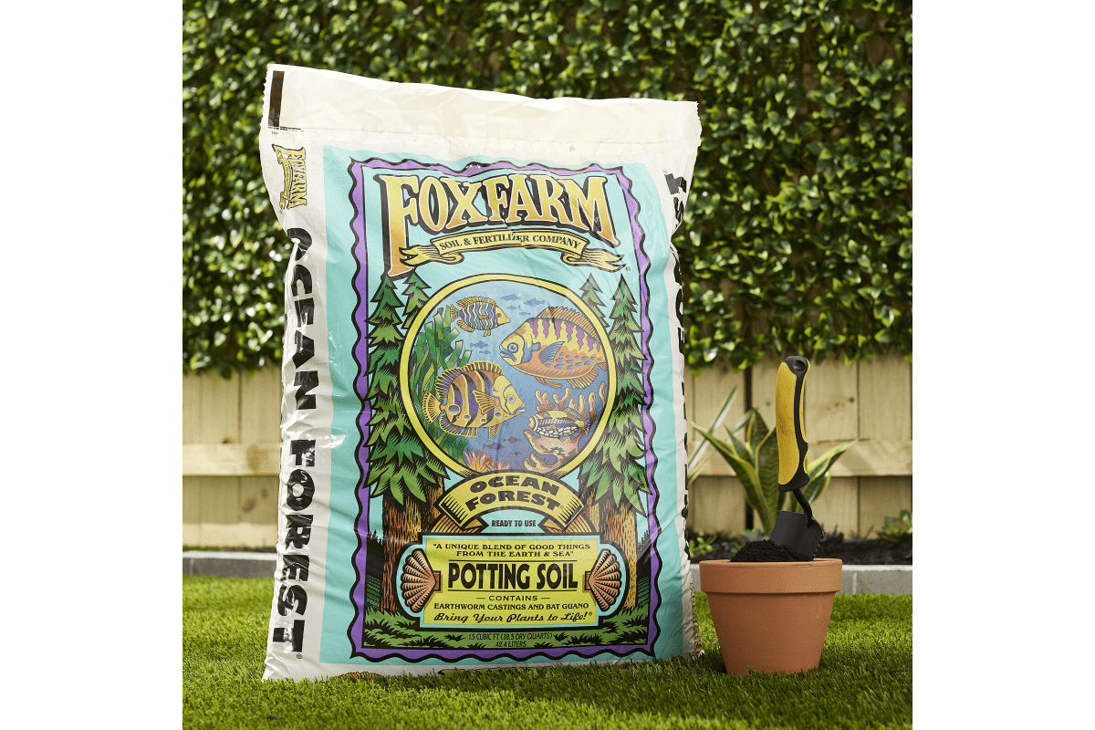 The 8 Best Soil For Tomatoes In Pots