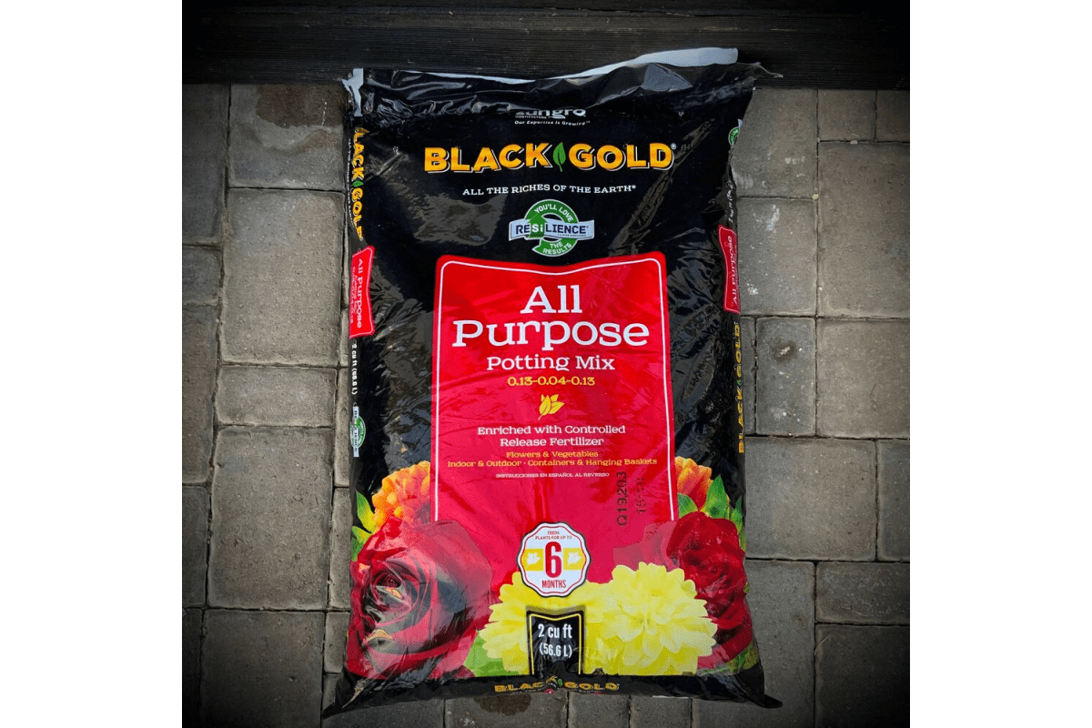 Best Potting Soil For Vegetables Best Guide From 2022