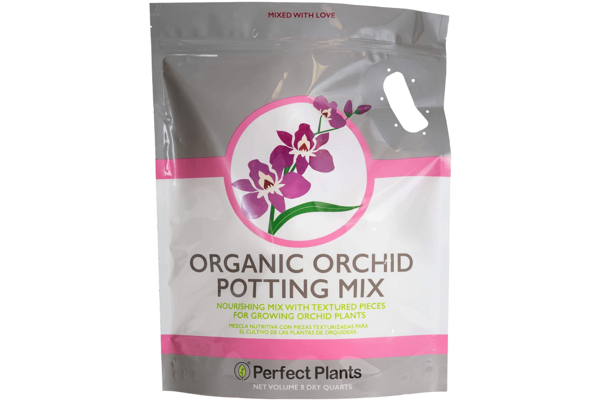 Best Soil For Houseplants A Detailed Buying Guide 2022