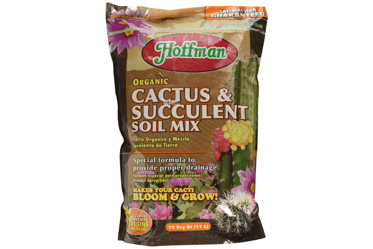 Best Soil For Houseplants A Detailed Buying Guide 2022