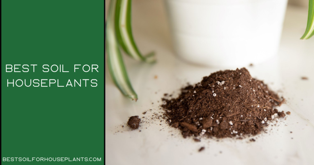 Best Soil For Houseplants A Detailed Buying Guide 2022
