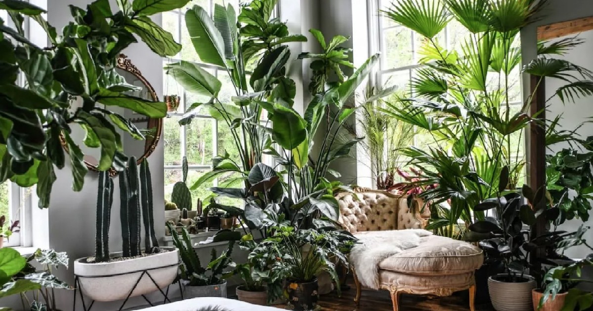 Do Plants Attract Bugs? How To Best Care (5+ Tips)