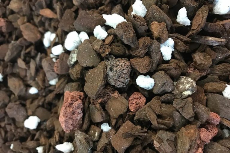 Best Soil For Houseplants A Detailed Buying Guide 2022