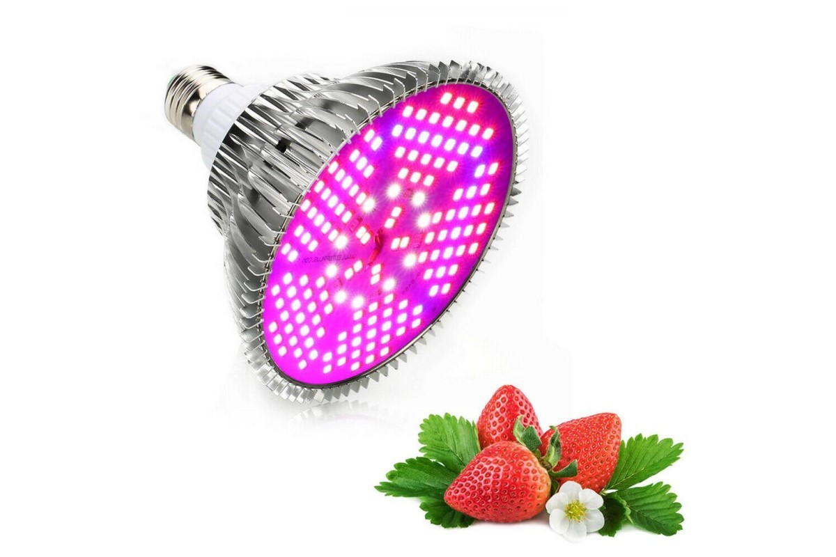 Best Full Spectrum Led Grow Lights Review. Fresh Information