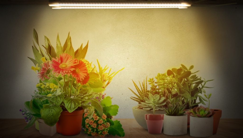 3 Mosthink LED Plant Grow Light Strips