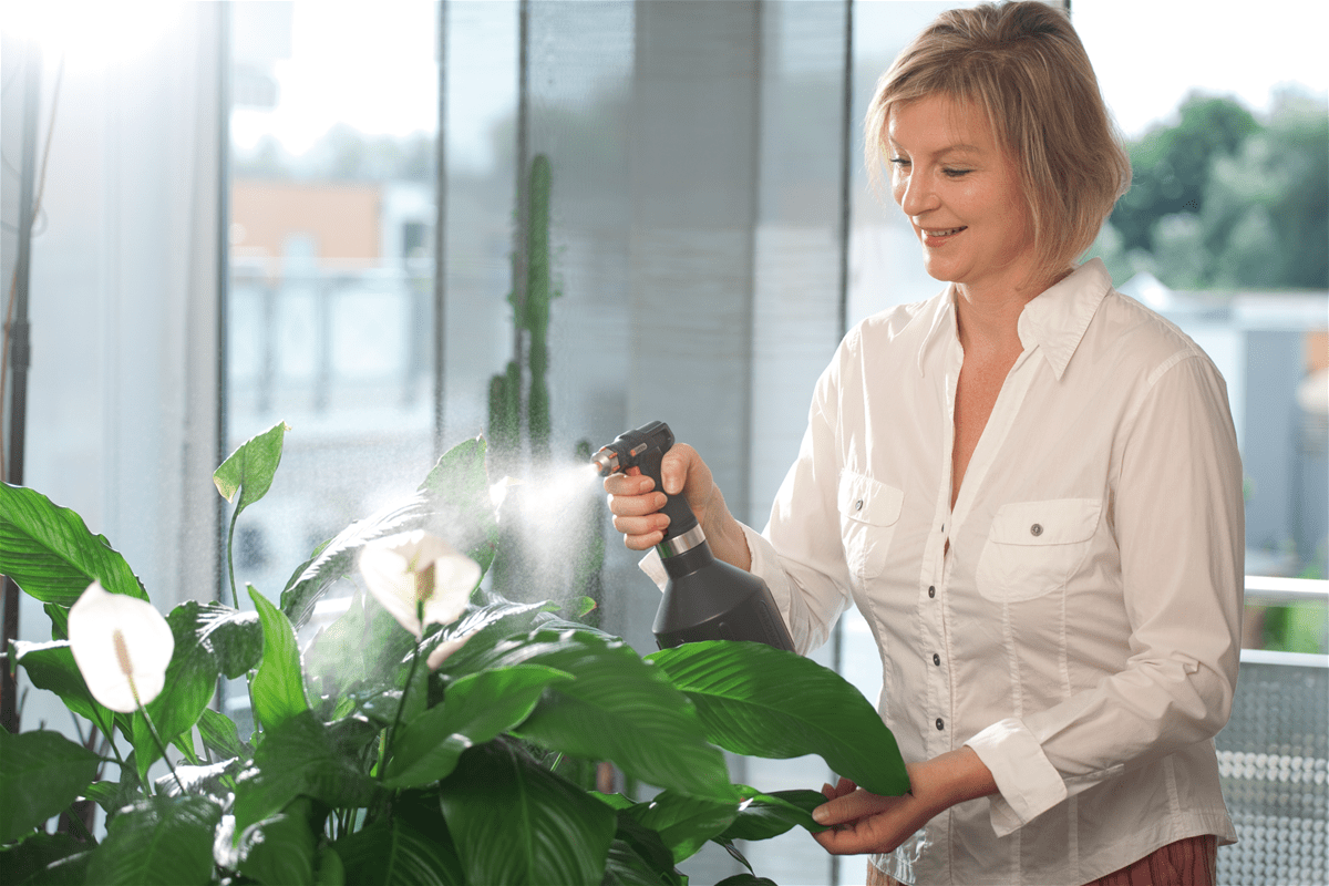 I Overwatered My Plant: Top 10 Ways To Save A Plant At Home