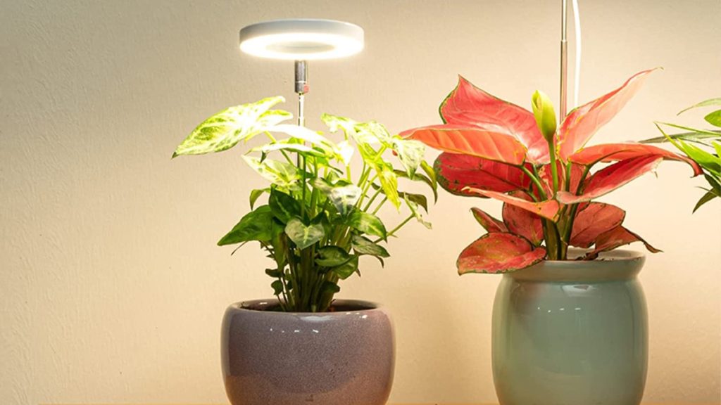 grow light lordem full spectrum led plant light for indoor plants tout