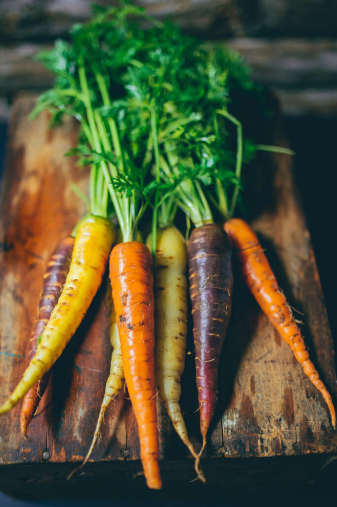 Growing carrots in containers